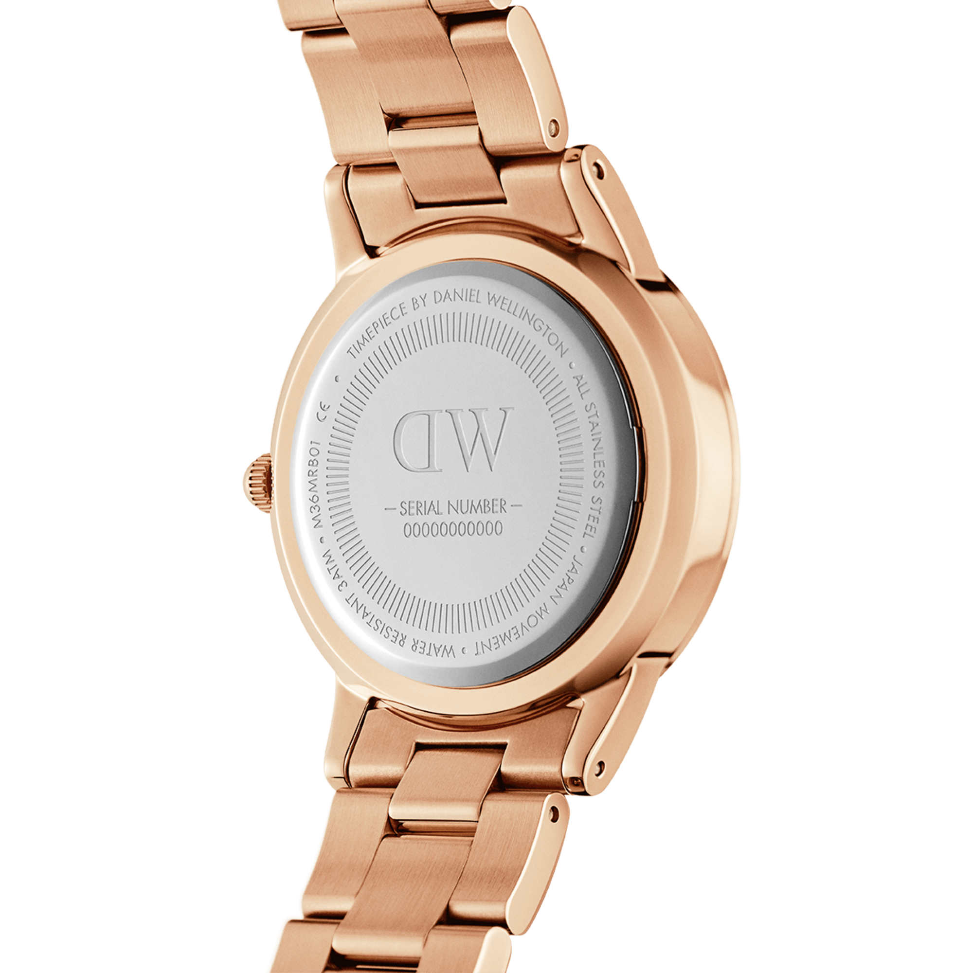 DW Iconic Link Unitone RG Watch