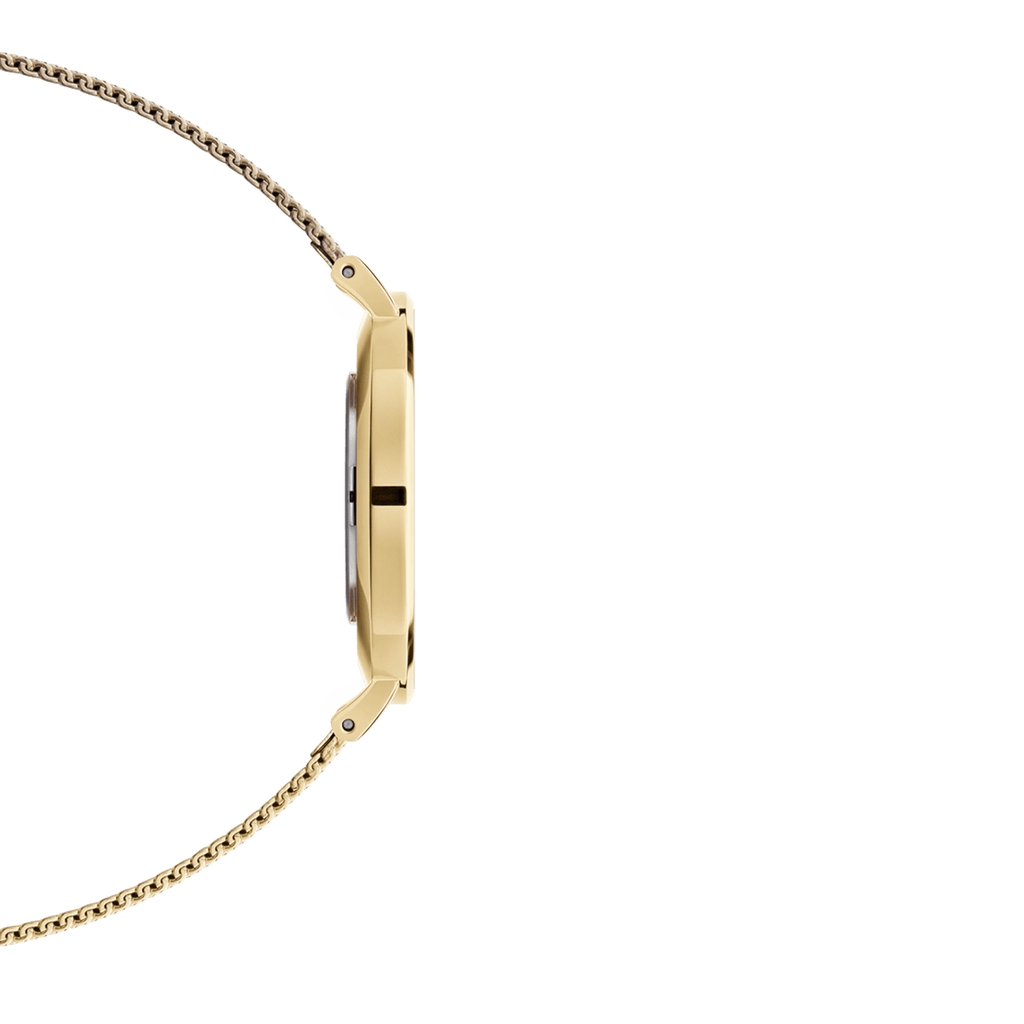 DW Petite EVERGOLD Watch