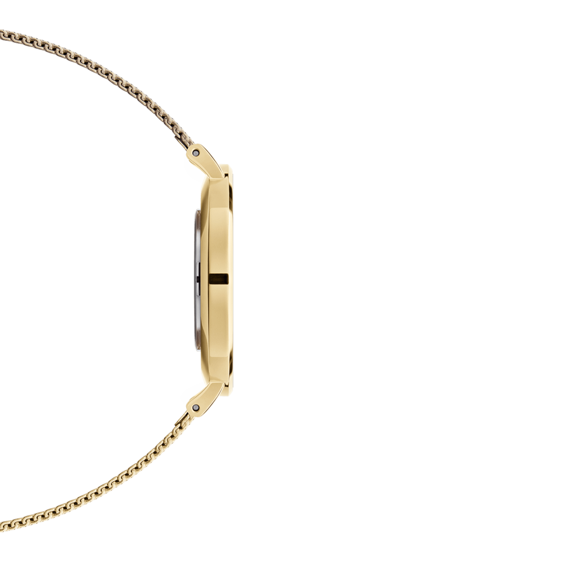 DW Petite EVERGOLD Watch