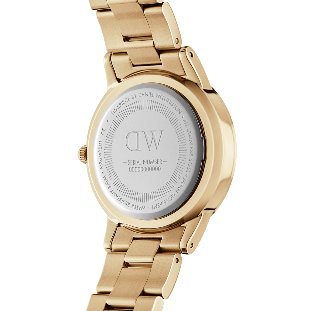 DW Iconic Link Unitone G Watch