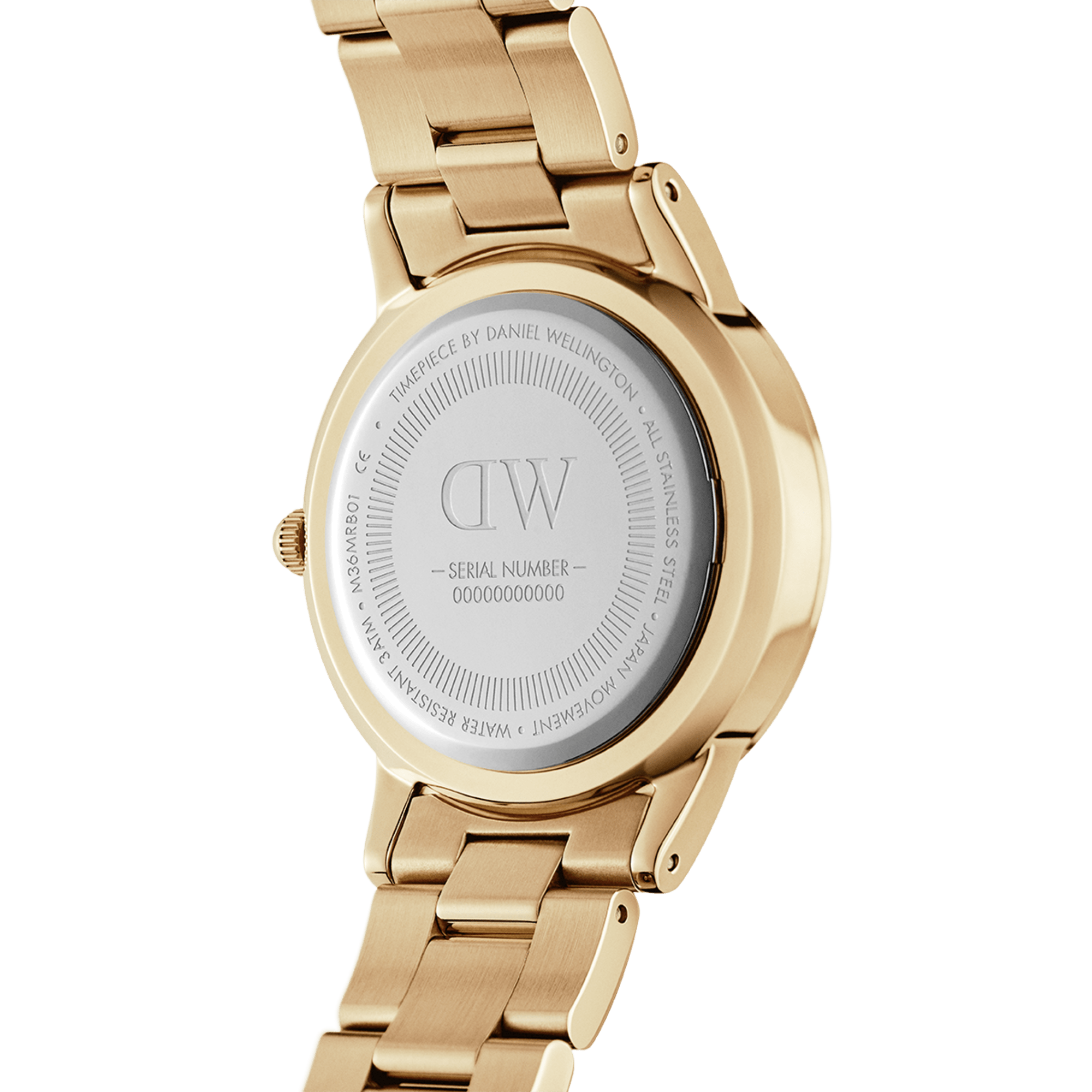 DW Iconic Link Unitone G Watch