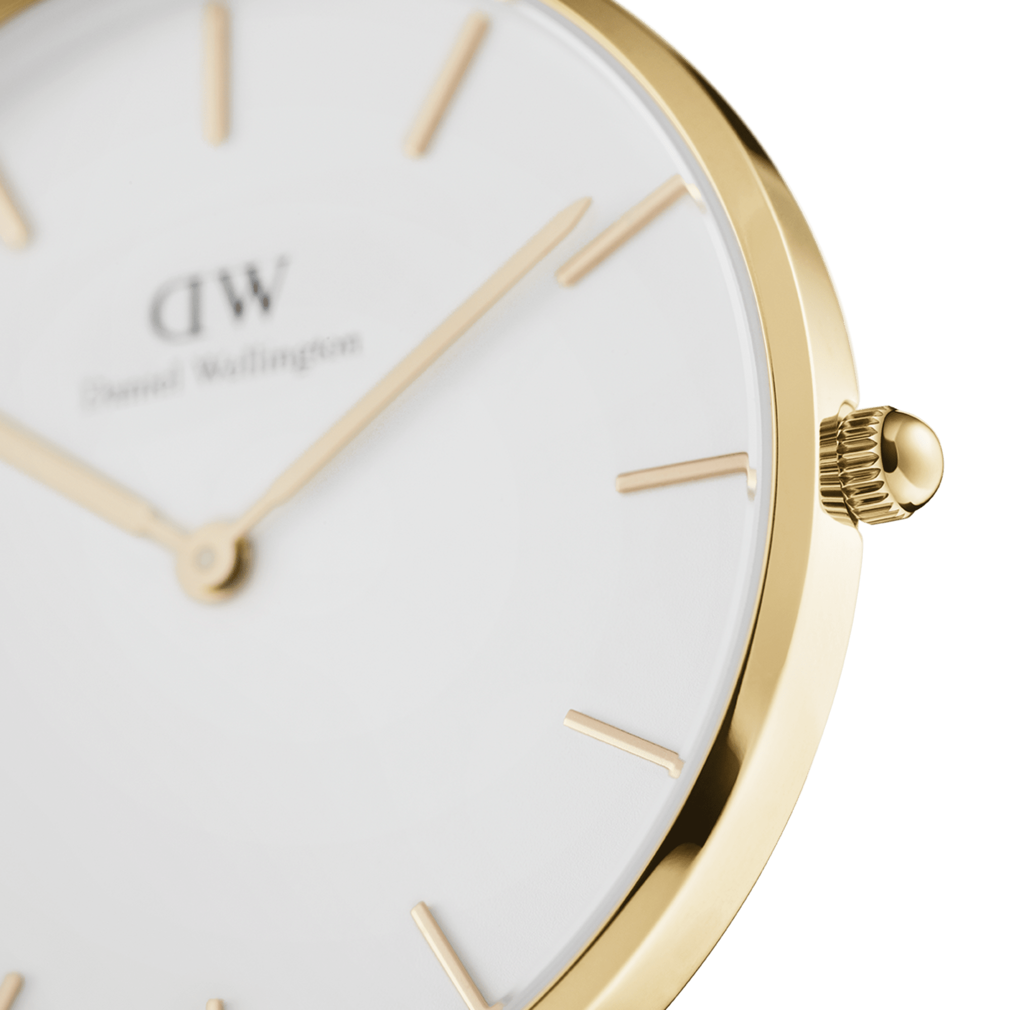 DW Petite EVERGOLD Watch