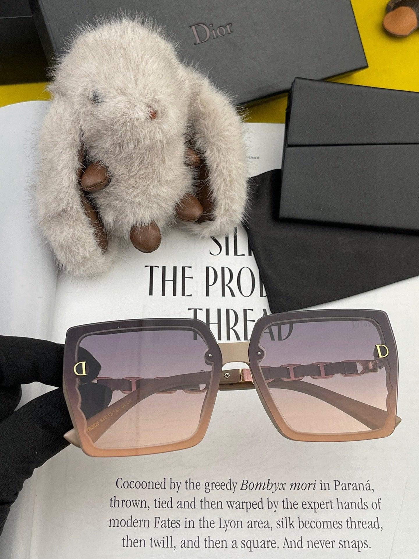 DIOR MONTAIGNE SUNGLASS CD5302 IN ACETATE EMBOSSED LOGO