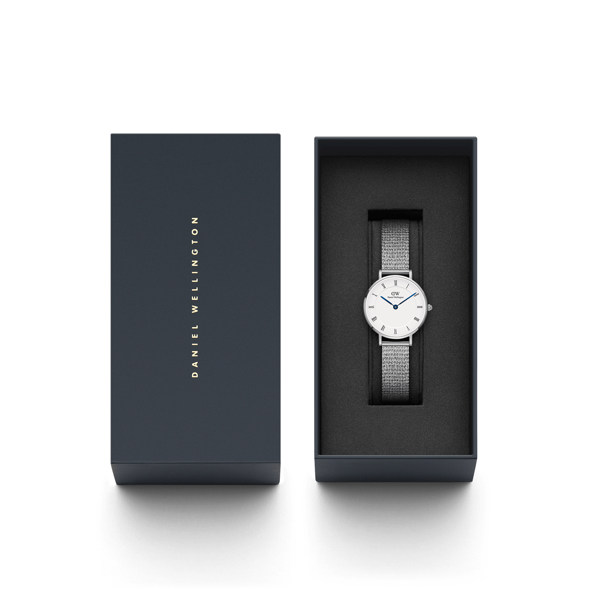 DW Petite Roman Numerals Sterling Watch